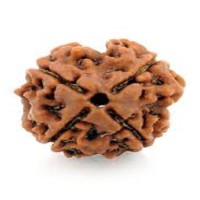 RUDRAKSHA